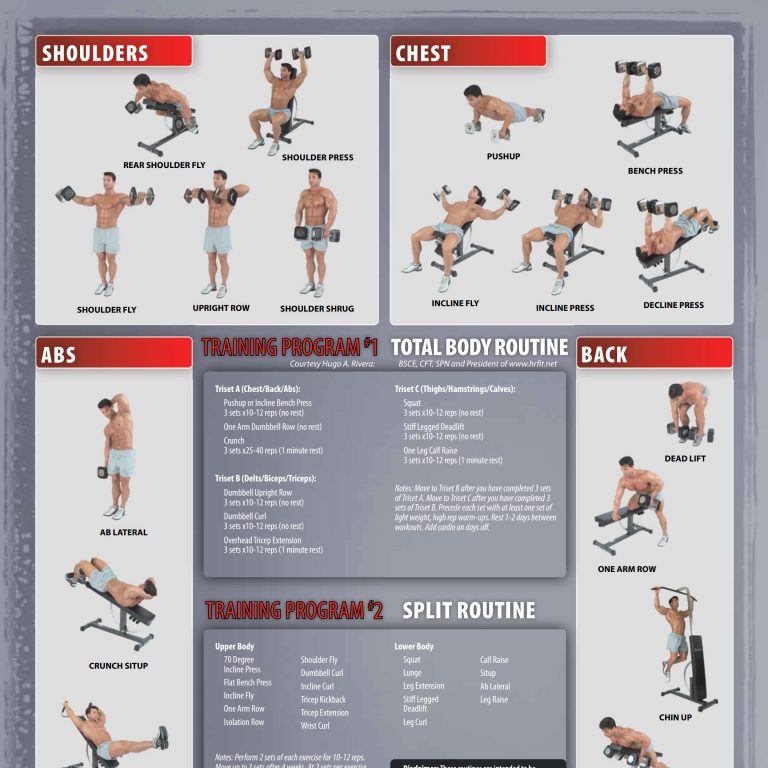 dumbbell-exercise-poster-preview – Ironmaster UK