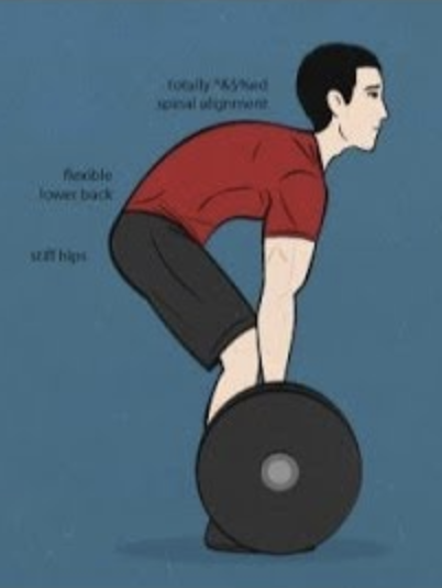Barbell or dumbbell - don’t be this guy
